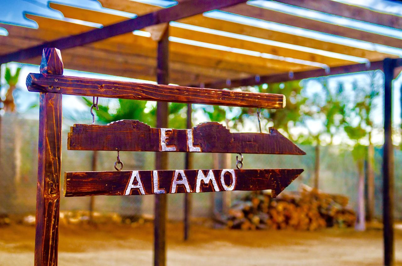 El Alamo Otel Valle de Guadalupe Dış mekan fotoğraf