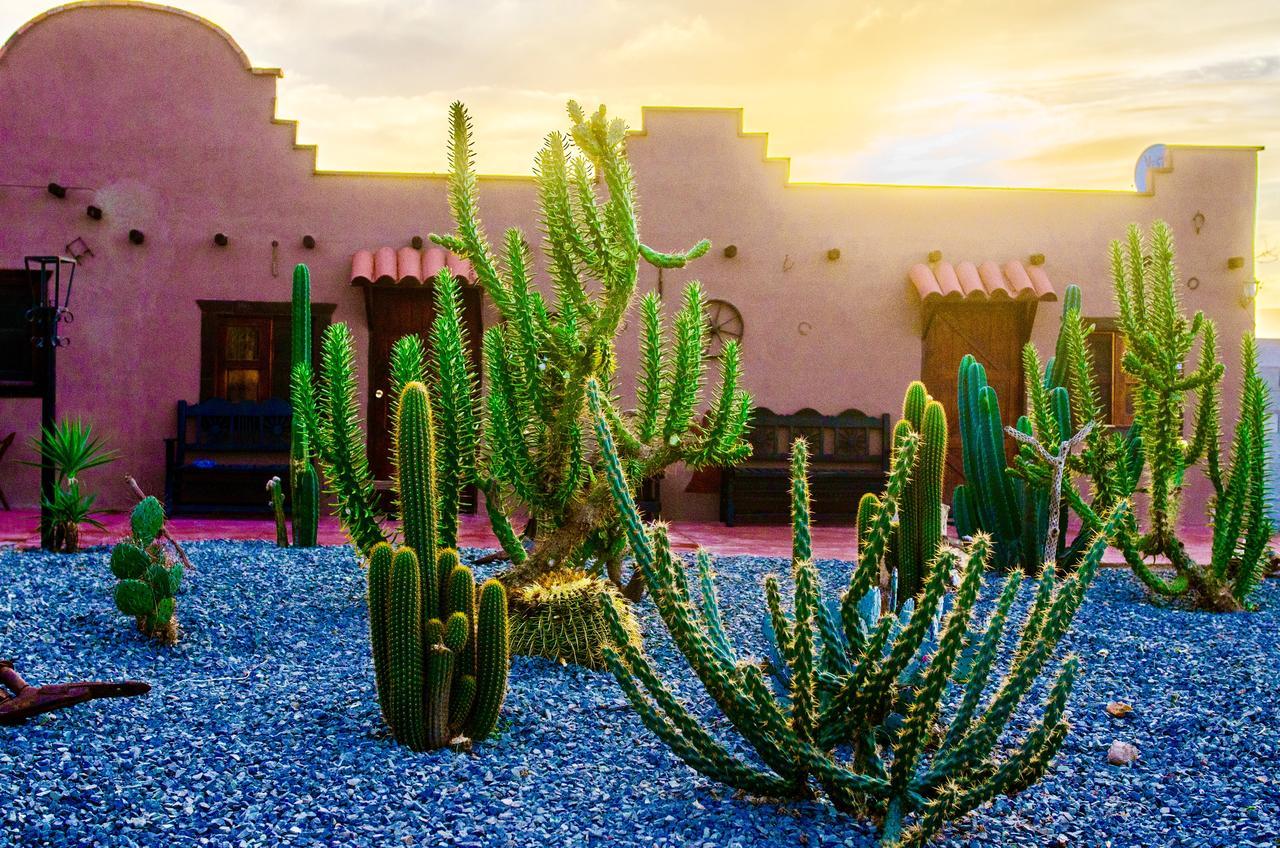 El Alamo Otel Valle de Guadalupe Dış mekan fotoğraf